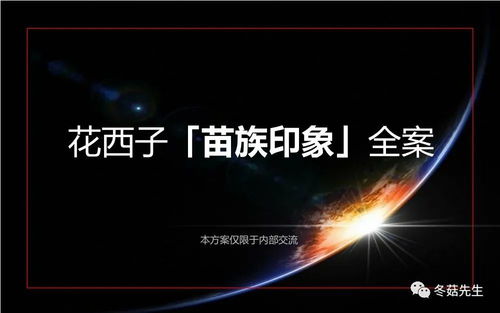 冬菇商学院 2021花西子苗族印象全案